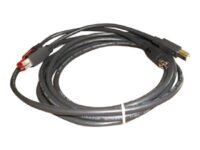 Epson - USB-kabel med egen strömförsörjning - 3 m