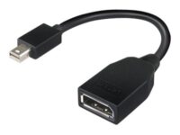 Lenovo - DisplayPort-adapter - Mini DisplayPort (hane) till DisplayPort (hona) - 17.6 cm - för ThinkCentre M70; M80; M90; ThinkStation P330; P330 Gen 2; P34X; P350; P520; P620
