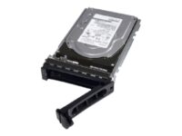 Dell - Hårddisk - 300 GB - hot-swap - 2.5" - SAS 12Gb/s - 15000 rpm - för PowerEdge FC630 (2.5"), M630, VRTX (2.5")