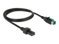 Delock - USB-kabel med egen strömförsörjning - USB PlusPower (12 V) till 8 stifts (2x4) PoweredUSB-fjärrsida - 1 m