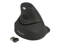 Delock - Vertikal mus - ergonomisk - höger- och vänsterhänta - laser - 4 knappar - trådlös - 2.4 GHz - trådlös USB-mottagare - svart - detaljhandel