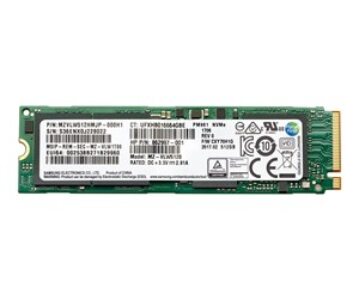 HP - SSD - 1 TB - inbyggd - M.2 - PCIe 3.0 x4 (NVMe) - för ZBook 15u G5, 15u G6, 15v G5, 17 G4, 17 G5, 17 G6, Create G7; ZBook Fury 15 G8, 17 G8