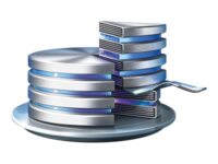 Acronis Disk Director Server - (v. 12.5) - licens för versionsuppgradering + 1 Year Advantage Premier - ESD - Win