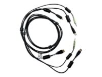 Cybex - video/USB/ljud-kabel - 3.05 m