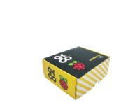 OKdo Raspberry Pi 4 Basic Kit - Gör det själv-kit - Broadcom BCM2711 1.5 GHz - RAM 8 GB - 802.11a/b/g/n/ac, Bluetooth 5.0 - svart - för Raspberry Pi 4 Model B