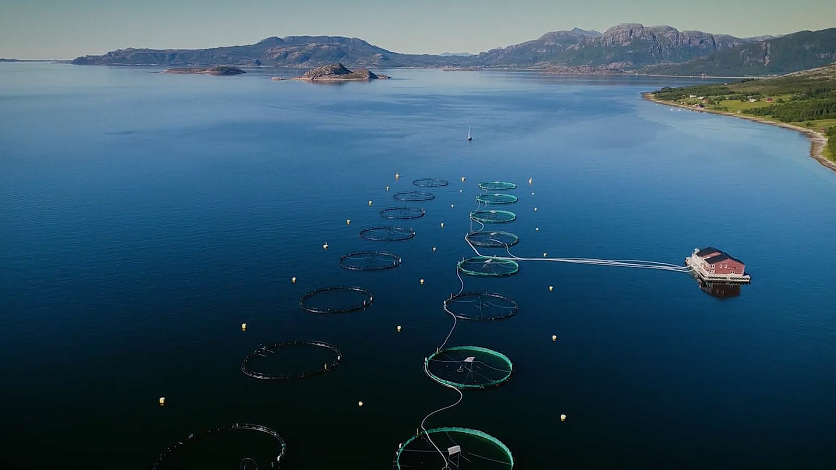 Hållbarhet är lönsamt på många plan