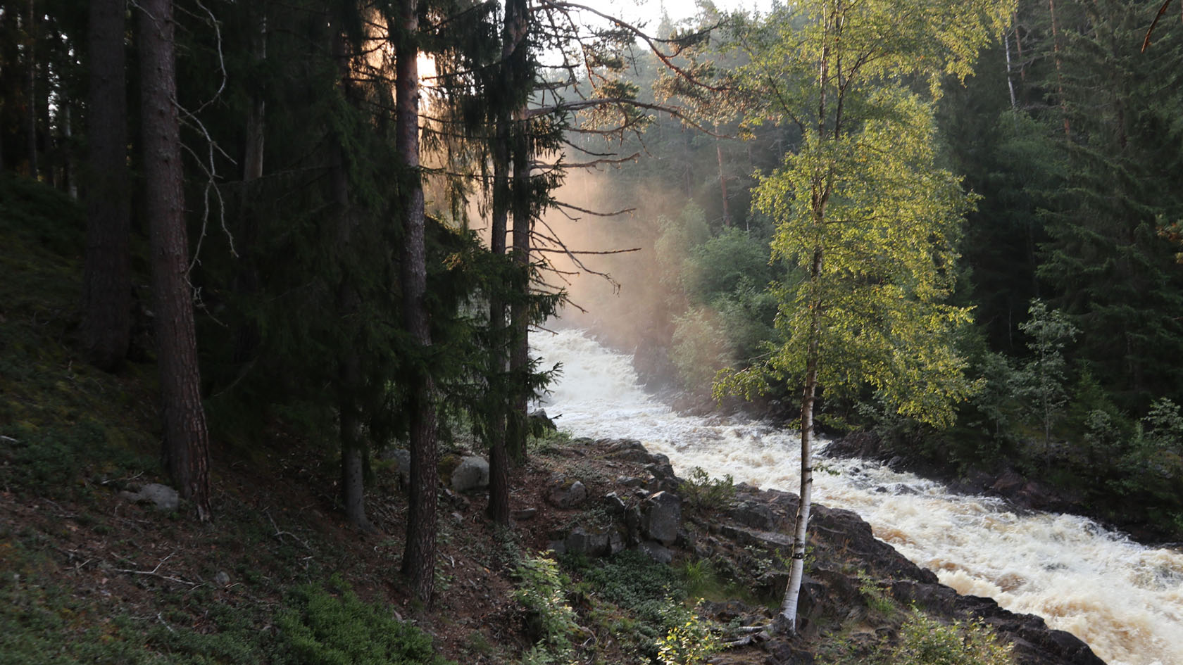 Fämtfallet i Värmland