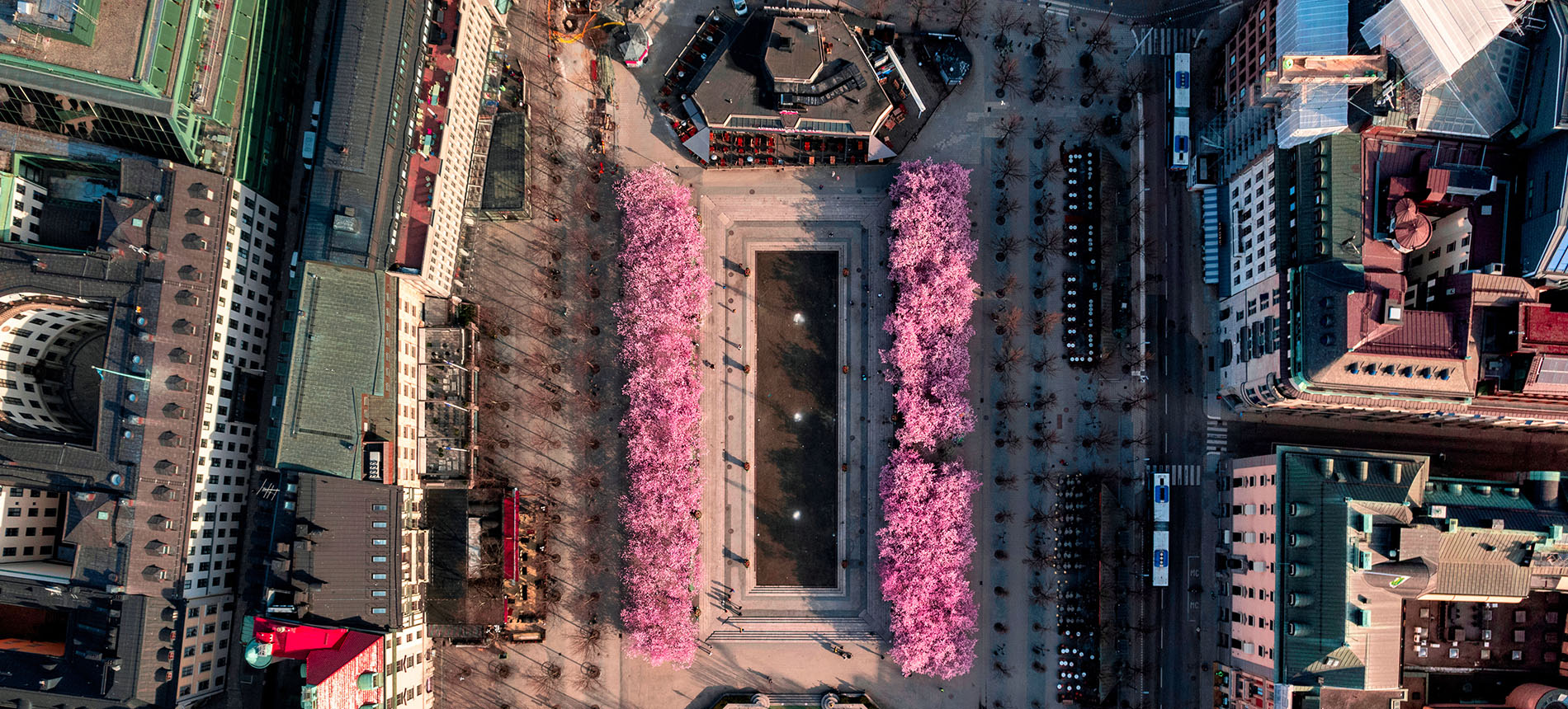 Artificiell Intelligens