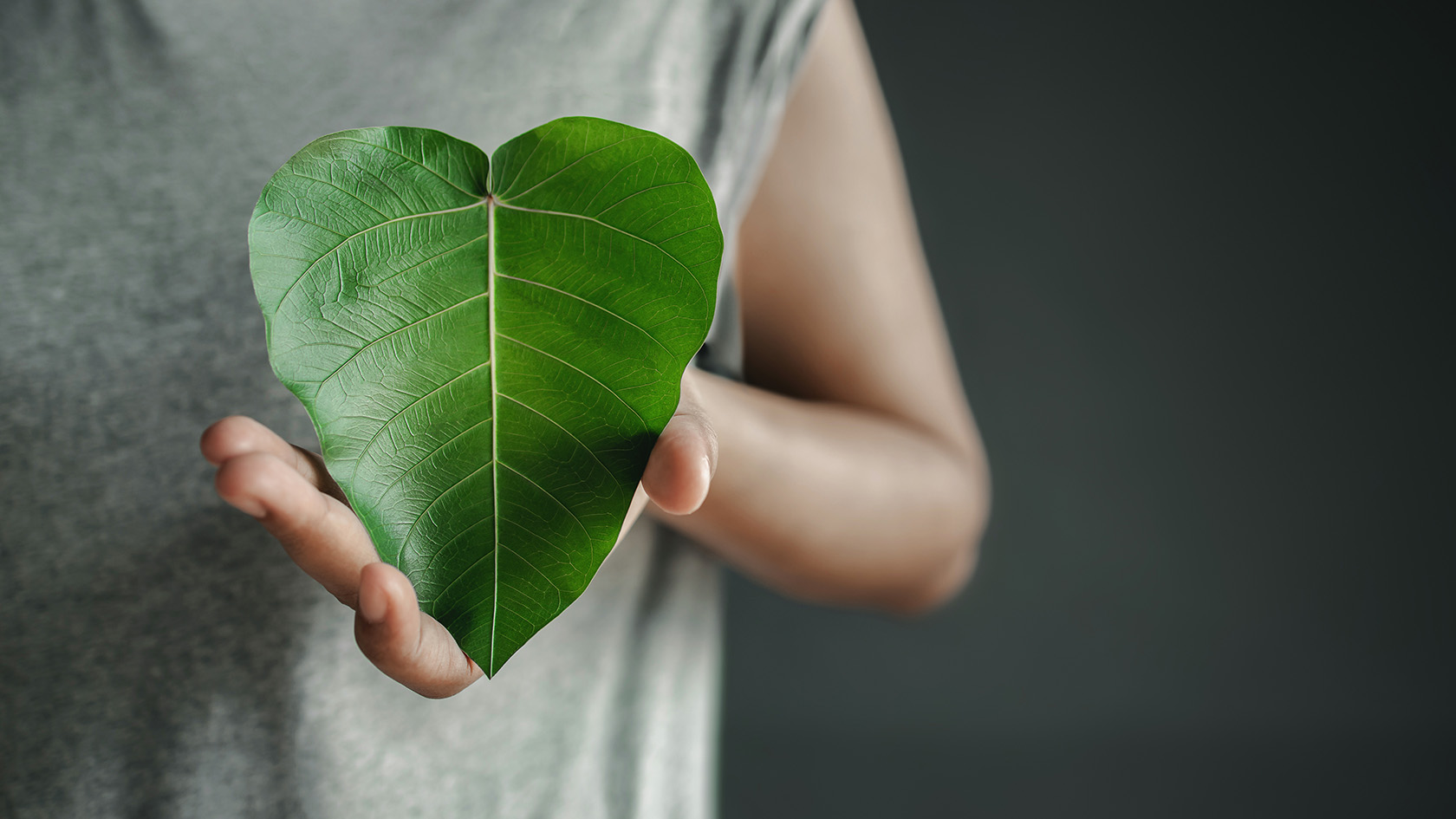 Hållbar it - gör din röst hörd