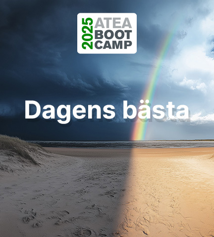 Dagens bästa