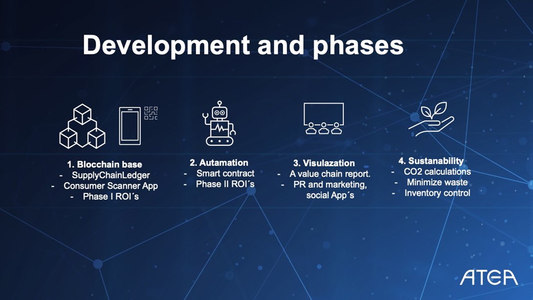 Blockchain development and phases